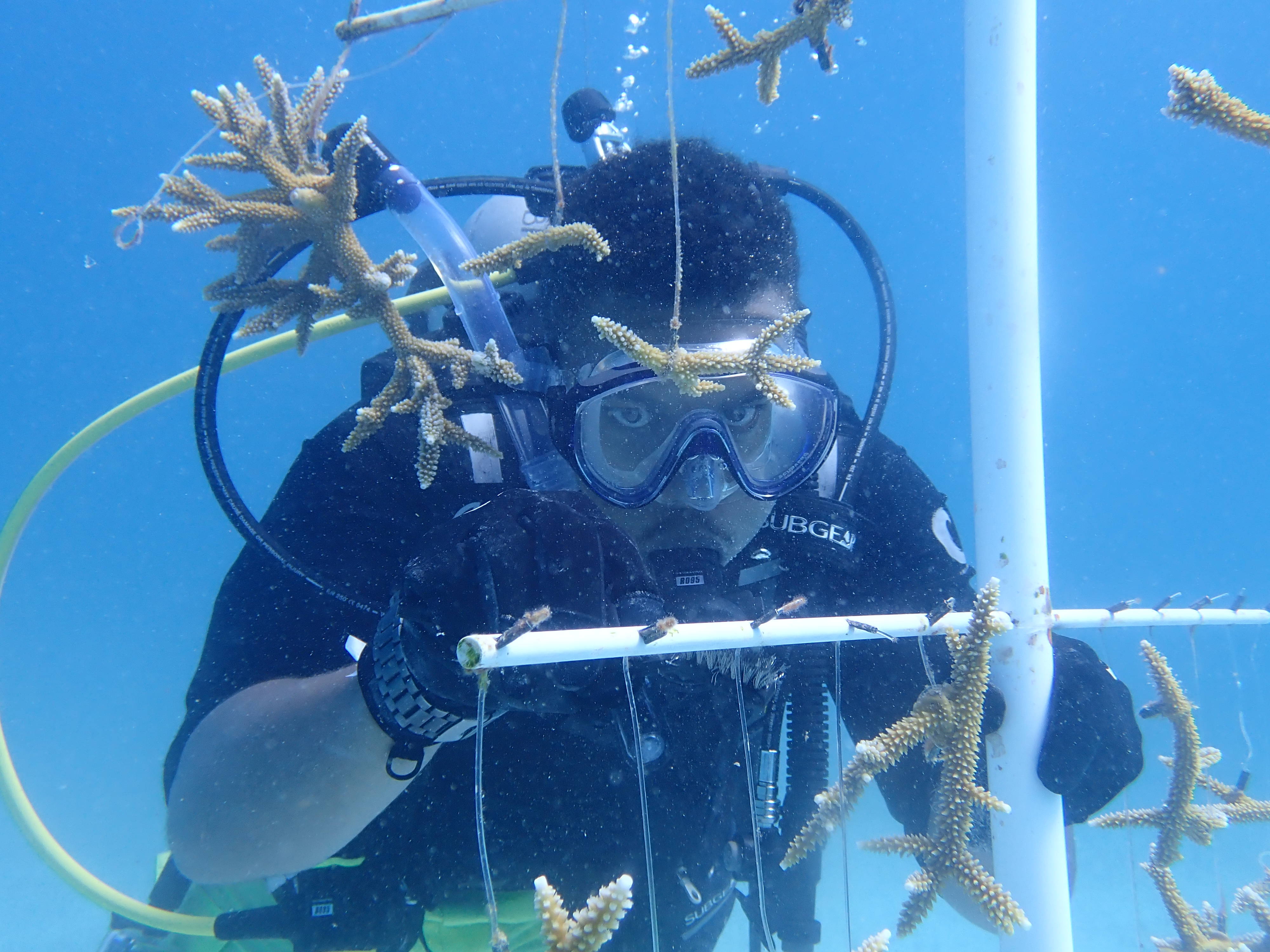 Nicholas Durgadeen takes measurement while diving